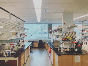 Lab Space and Resources